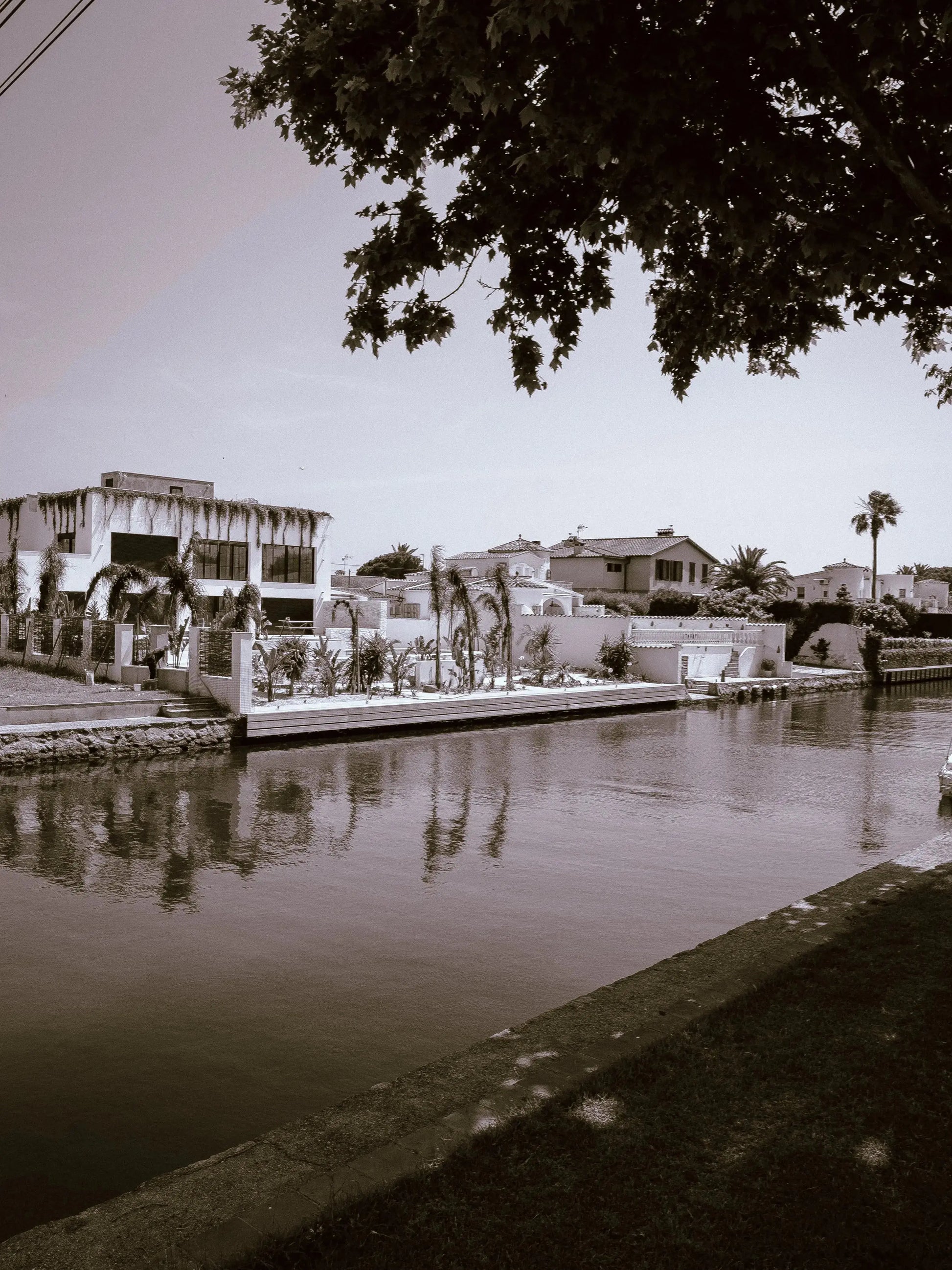 Black&White Édition(Desktop) Theo Pixel Store