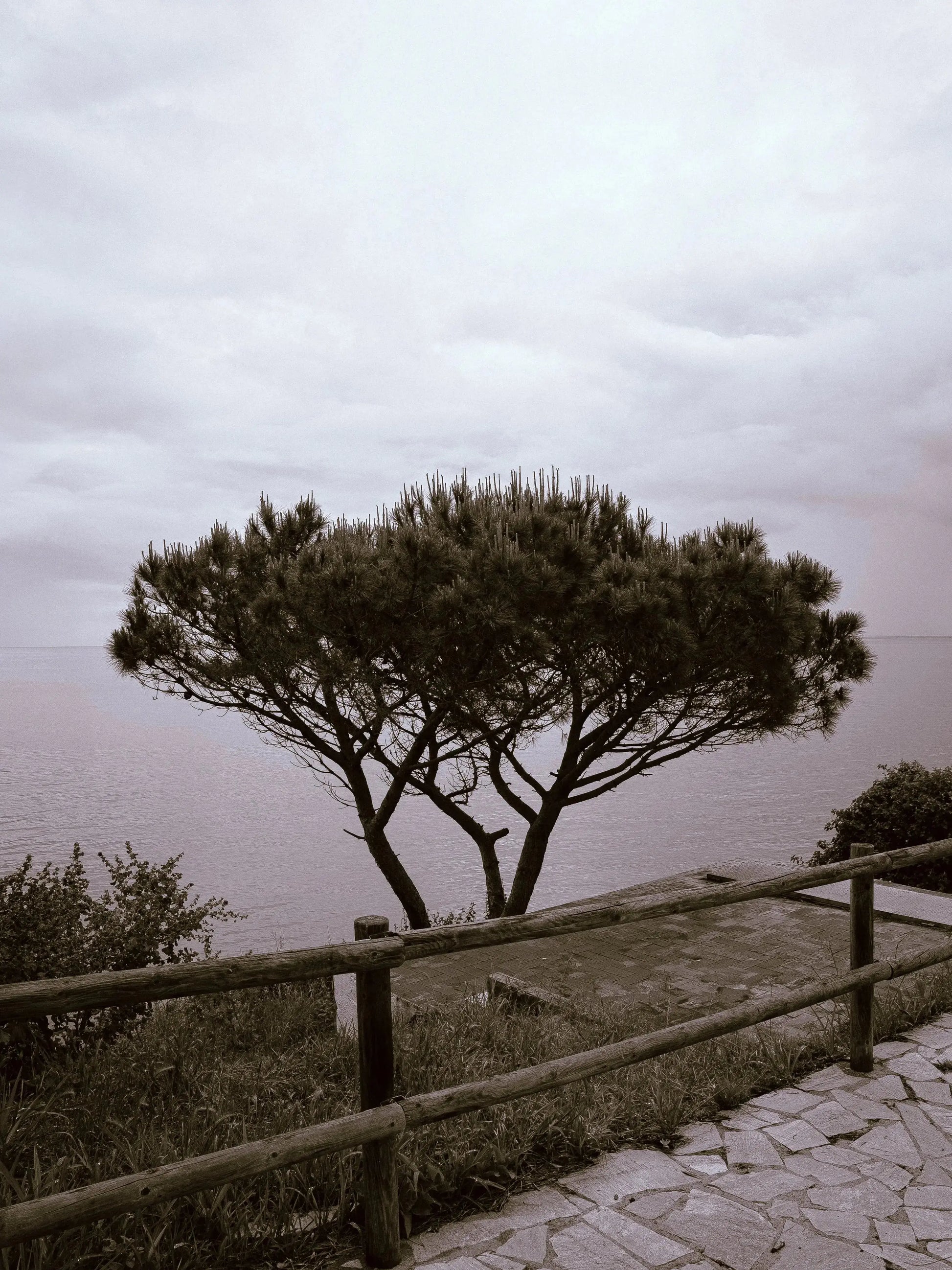 Black&White Édition(Mobile) Theo Pixel Store