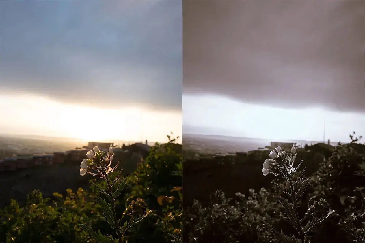 Black&White Édition(Mobile) Theo Pixel Store