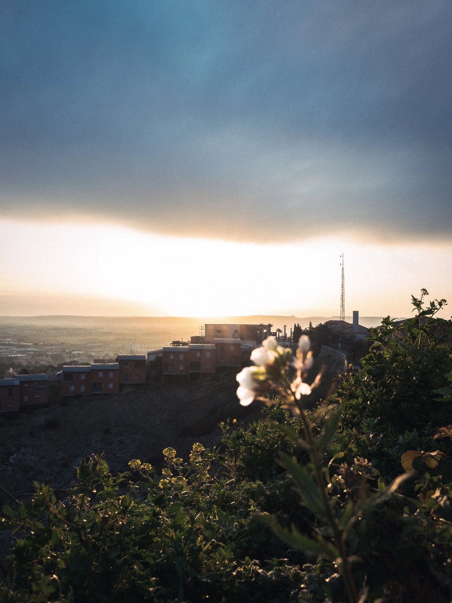 Photographie avec un de mes presets Lightroom vintage.