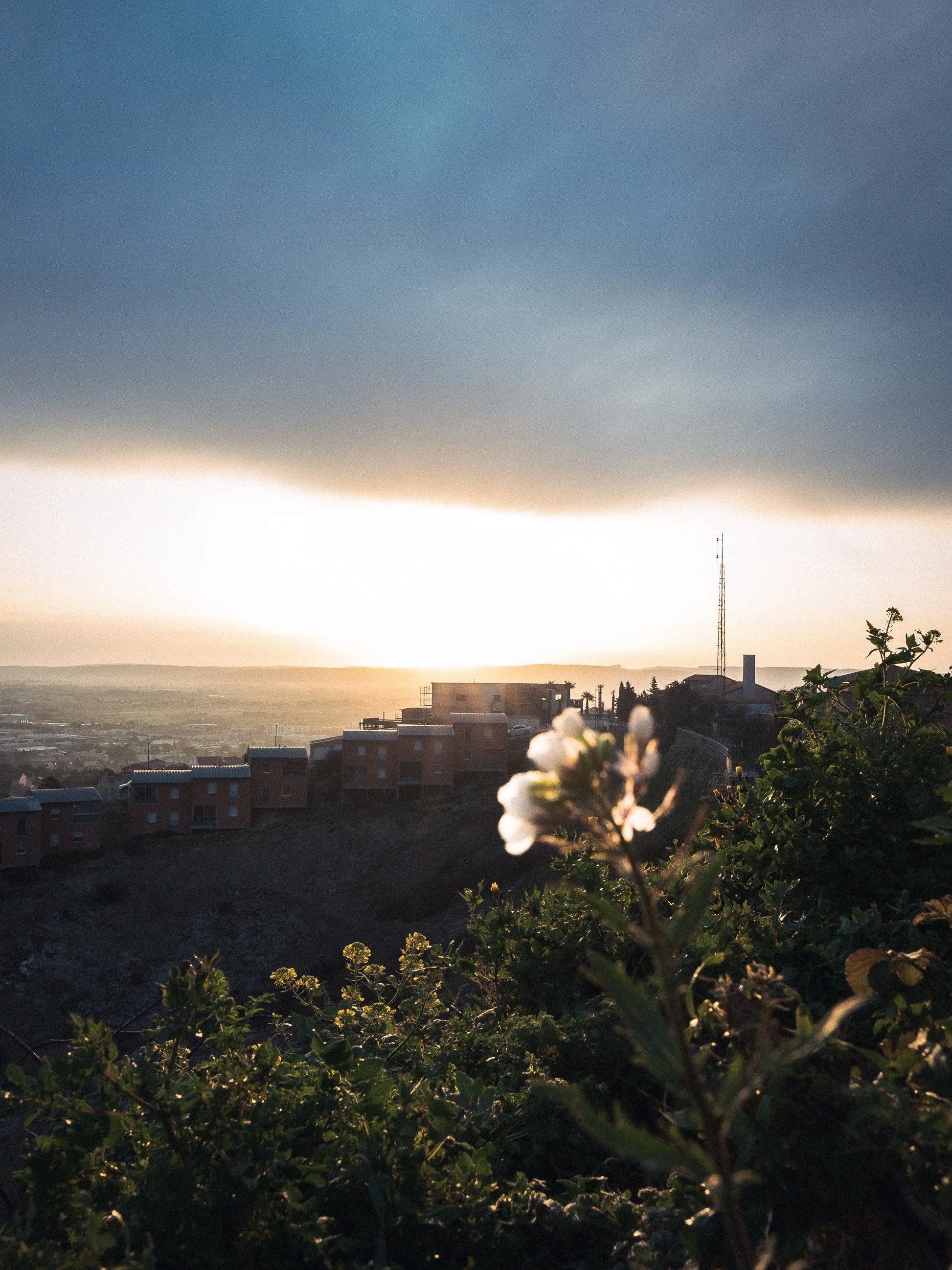 Photographie avec un de mes presets Lightroom vintage.