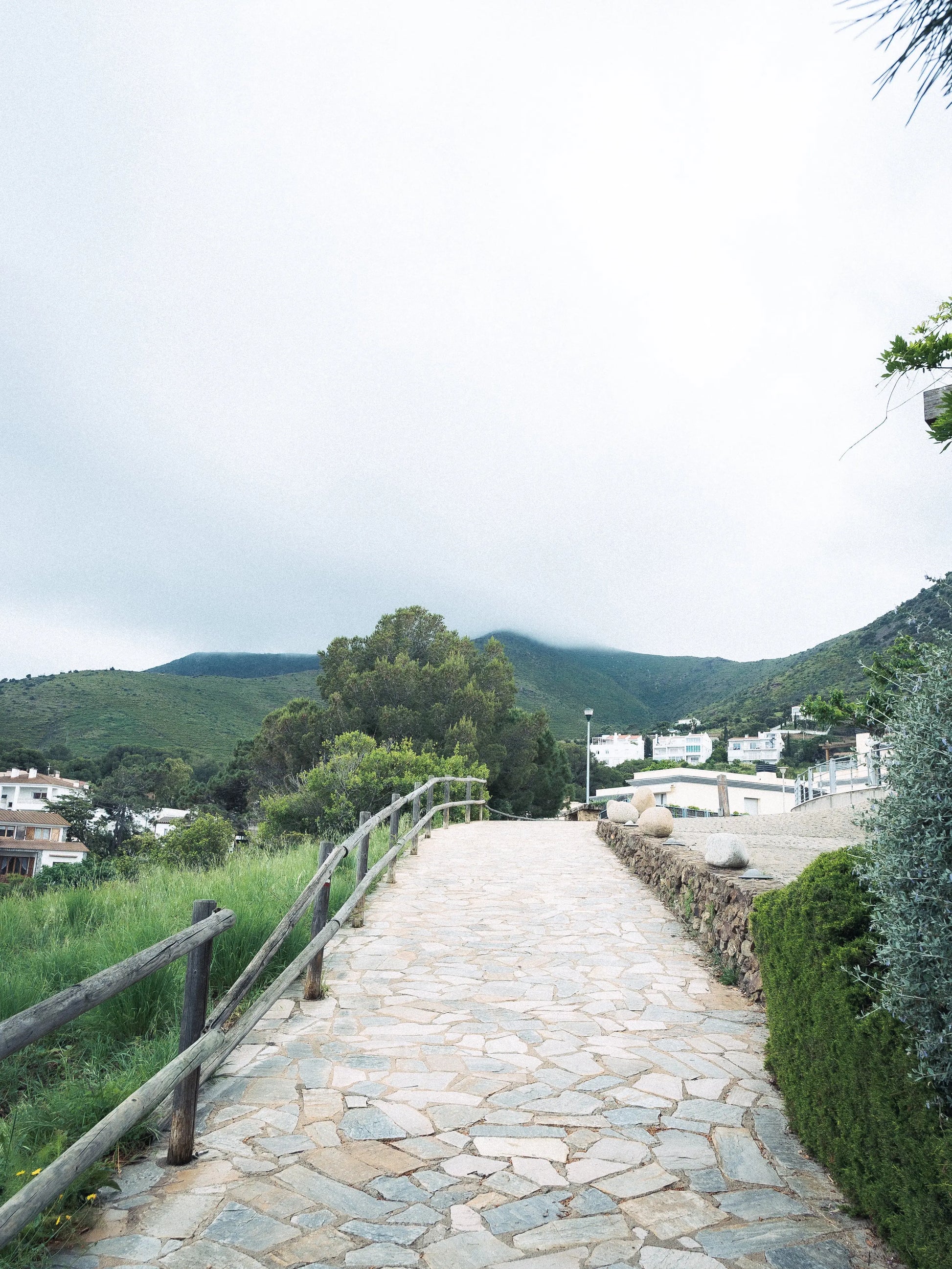 Photographie avec un de mes presets Lightroom vintage.