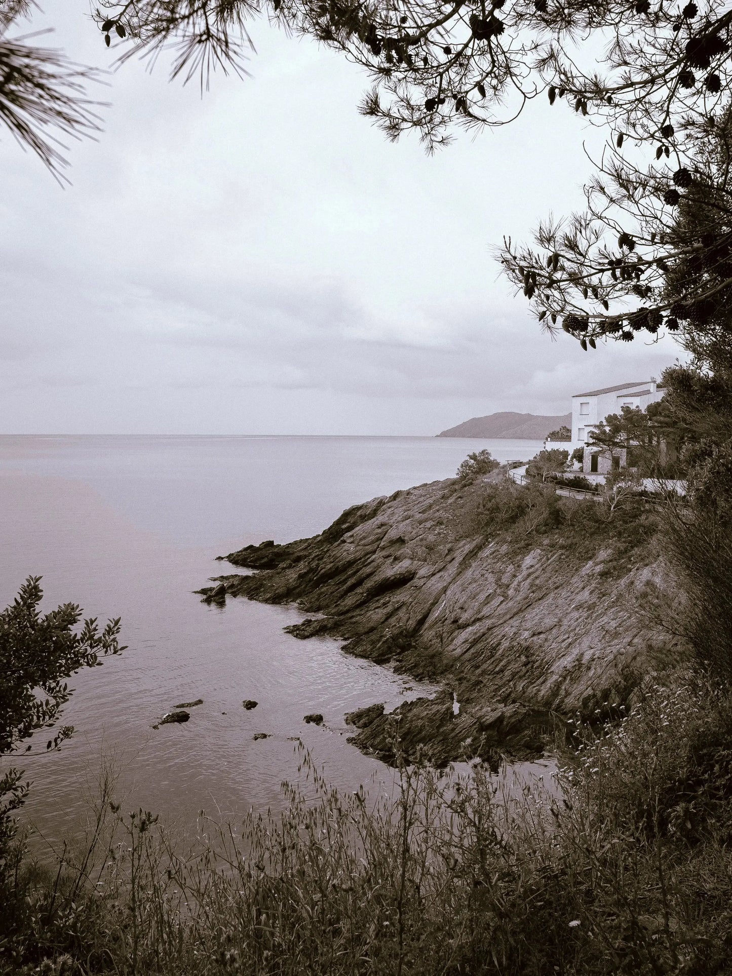 Black&White Édition(Mobile) Theo Pixel Store