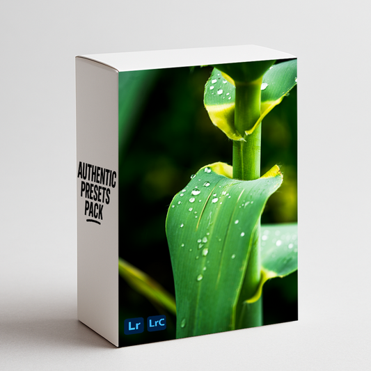 Authentic Presets Pack (Desktop)