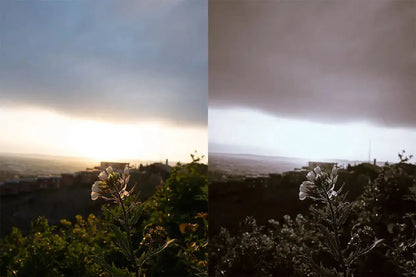 Black&White Édition(Mobile) Theo Pixel Store