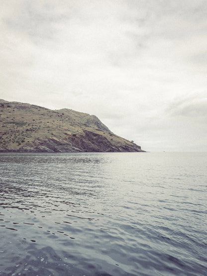 Photographie avec un de mes presets Lightroom vintage.