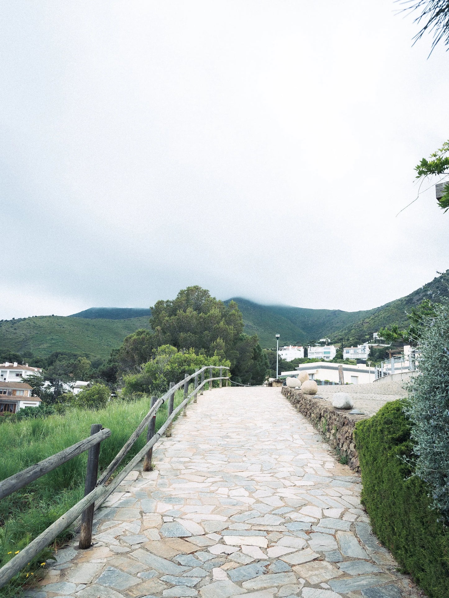 Photographie avec un de mes presets Lightroom vintage.